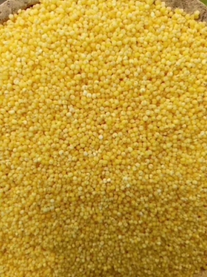 赤峰泰潤苗場電話號碼查詢-第1張圖片