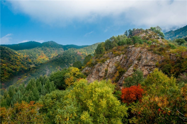 赤峰美林谷拼車電話號(hào)碼查詢-第1張圖片