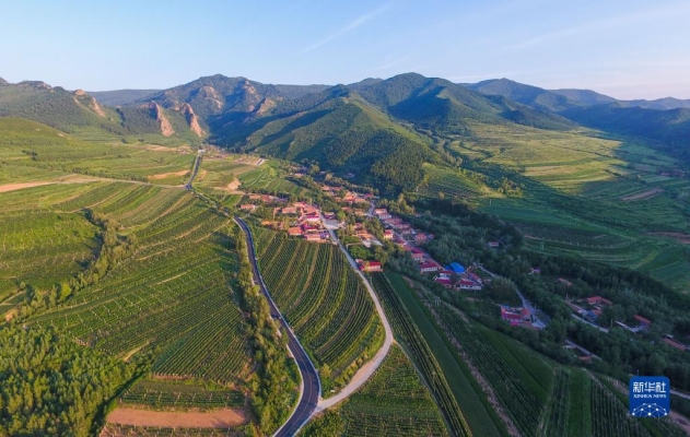 赤峰市馬架子村書記電話號(hào)碼-第1張圖片