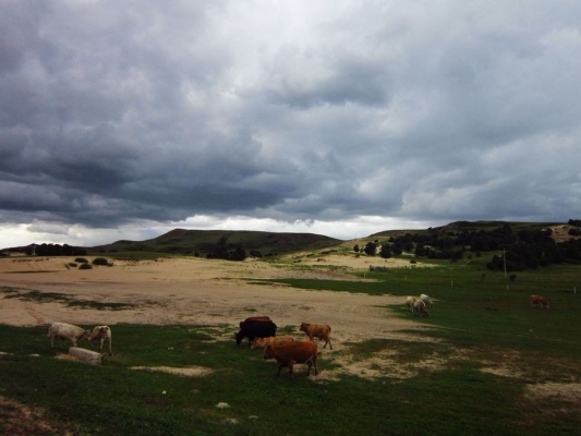赤峰萬達(dá)牧場電話號碼多少-第1張圖片
