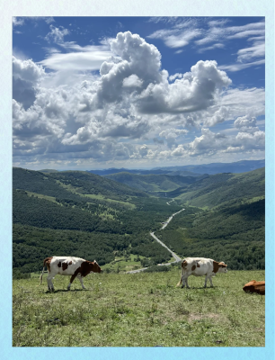 廊坊到赤峰拼車電話-第1張圖片