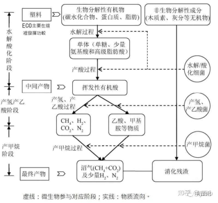 赤峰厭氧生物中心電話多少號-第1張圖片