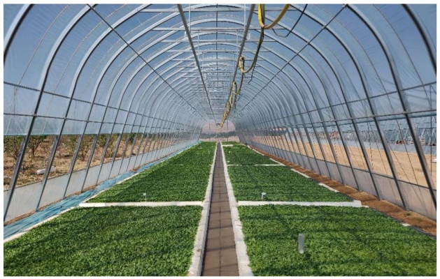 赤峰市租賃大棚廠家電話號碼-第1張圖片