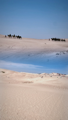 赤峰市烏丹咸菜廠電話號碼-第1張圖片