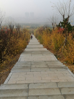 赤峰平莊阿茹娜酒店電話號碼-第1張圖片