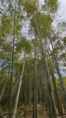 赤峰錦山照相館地址電話號碼-第1張圖片