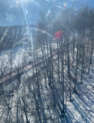 赤峰美林谷防疫站電話號碼是多少-第1張圖片