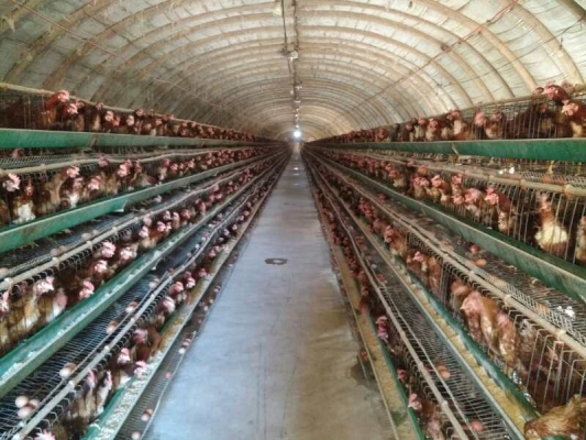 赤峰豆油罐供應(yīng)商電話地址查詢-第1張圖片