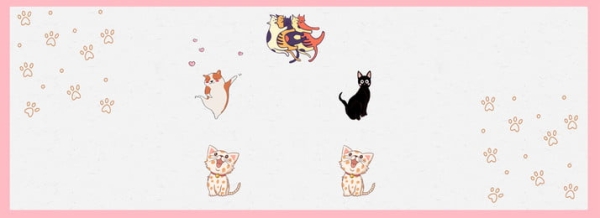 赤峰特價寵物店電話號碼多少-第1張圖片