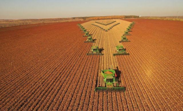 赤峰高粱收割機(jī)電話號(hào)碼-第1張圖片