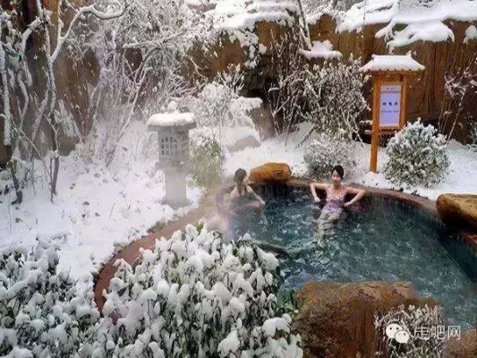 赤峰市凌水溫泉酒店電話號(hào)碼-第1張圖片