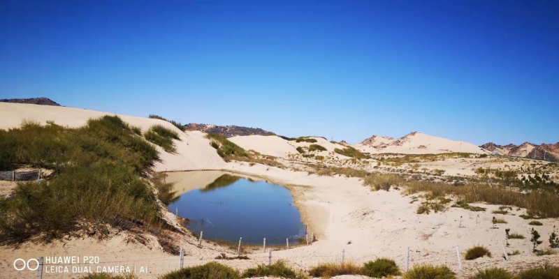 赤峰熱水塘鎮(zhèn)貨運公司電話號碼-第1張圖片