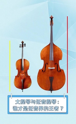 赤峰低音提琴專賣店電話號碼-第1張圖片