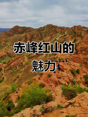 赤峰市紅山珍珍診所電話號(hào)碼-第1張圖片