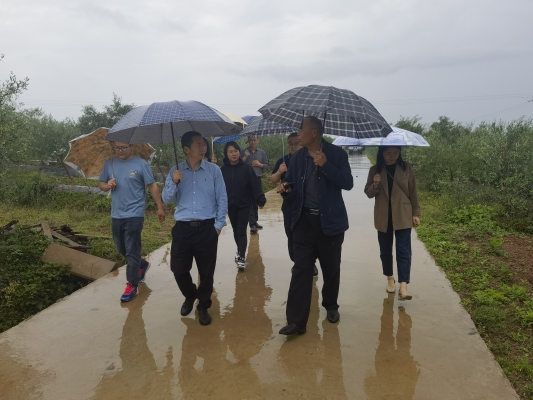 赤峰到蒼溪縣物流電話號(hào)碼-第1張圖片