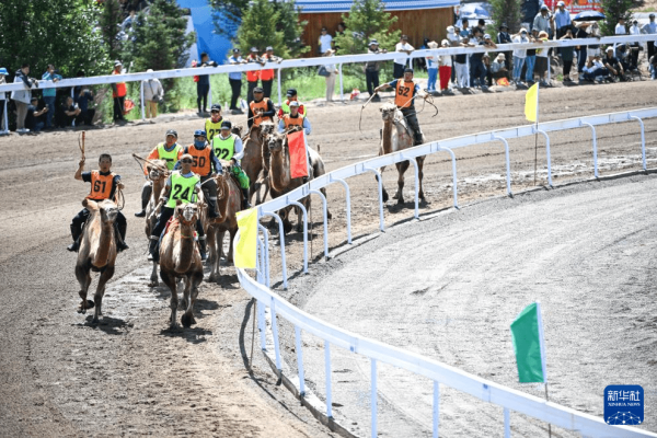 內(nèi)蒙古赤峰普康藥業(yè)電話(huà)號(hào)碼-第1張圖片