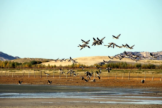 赤峰葡萄酒廠的電話號碼是多少-第1張圖片
