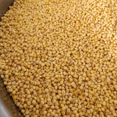 赤峰種子加工廠家電話號碼-第1張圖片