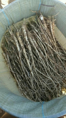 赤峰辰諾種子公司電話號(hào)碼-第1張圖片