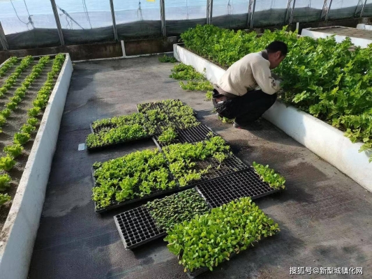 赤峰平莊鋼筋加工廠電話號(hào)碼-第1張圖片
