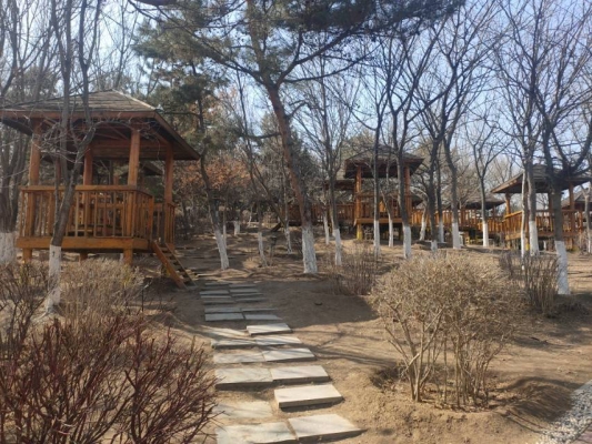 赤峰平莊馬振軍診所電話號(hào)碼-第1張圖片