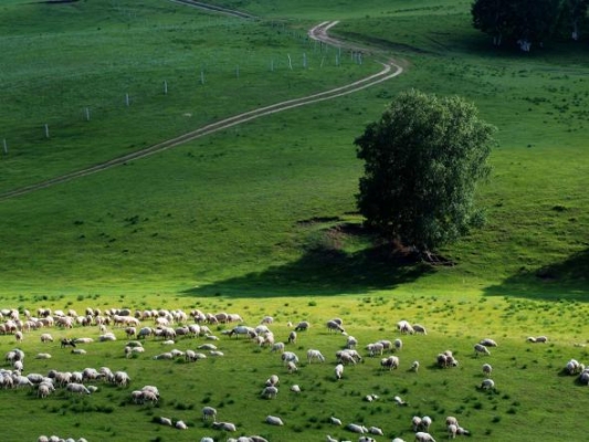 赤峰軍昊旅行社招聘電話號(hào)碼-第1張圖片