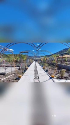 赤峰市玉龍川景區(qū)電話號碼是多少-第1張圖片