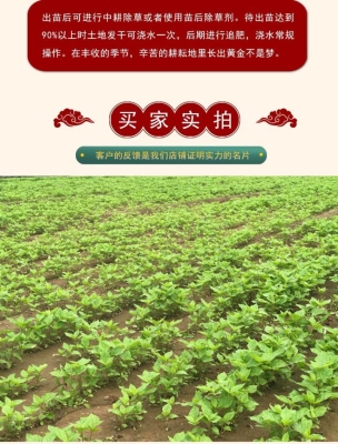 赤峰市種子公司電話號碼-第1張圖片