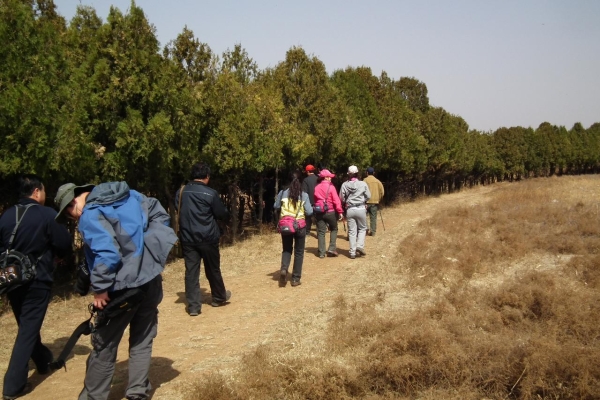 赤峰祭壇花廠家供貨電話號(hào)碼查詢-第1張圖片