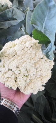 赤峰普發(fā)超市地址電話(huà)查詢(xún)號(hào)碼-第1張圖片