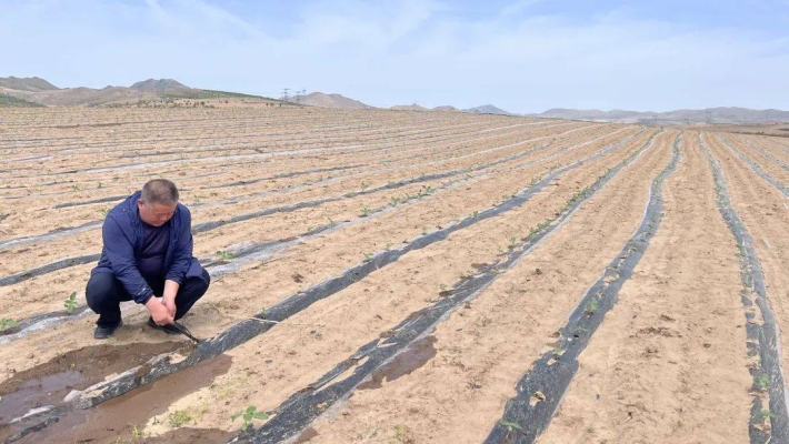 赤峰山鄉(xiāng)教育局官網(wǎng)電話號(hào)碼-第1張圖片