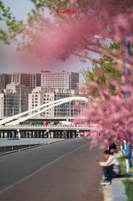 赤峰瑞弘私廚電話號(hào)碼查詢-第1張圖片