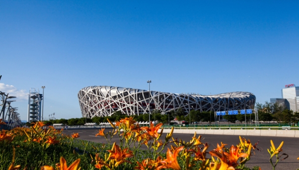 赤峰鳥巢田徑場電話號碼查詢-第1張圖片