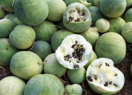 赤峰郝哥瓜子店電話多少號-第1張圖片