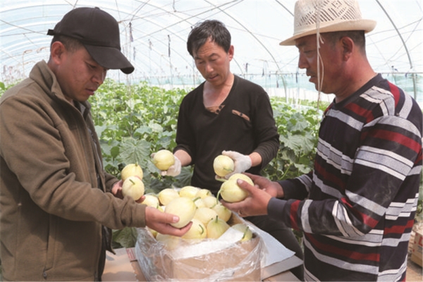 赤峰采摘葡萄酒的地方電話號碼-第1張圖片