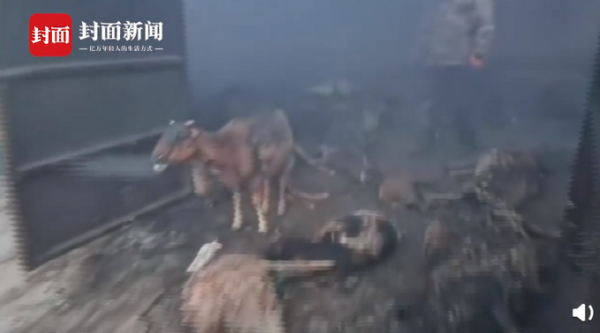 赤峰保溫羊棚電話號(hào)碼多少號(hào)-第1張圖片