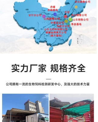 赤峰市生豬收購商家電話號碼-第1張圖片