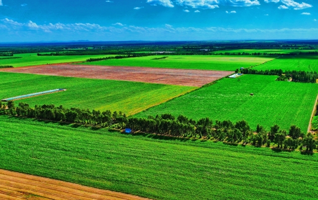 赤峰敖都理發(fā)店電話地址查詢-第1張圖片