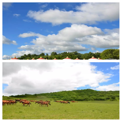 赤峰大彎理發(fā)店電話地址查詢-第1張圖片