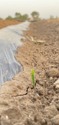 赤峰市種子站電話號碼查詢-第1張圖片