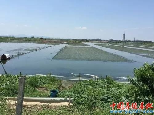 內(nèi)蒙赤峰肉驢養(yǎng)殖基地電話號(hào)碼-第1張圖片