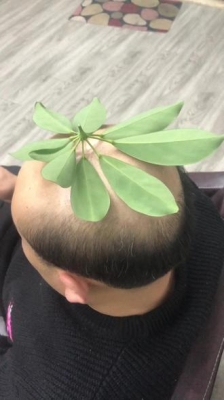 赤峰假發(fā)編織廠家電話地址查詢-第1張圖片