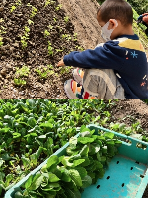 赤峰冰釣大棚電話號(hào)碼查詢是多少-第1張圖片