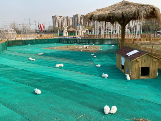 赤峰小倪寵物店電話地址查詢-第1張圖片