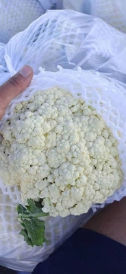 眾聯(lián)超市赤峰店電話號碼查詢-第1張圖片