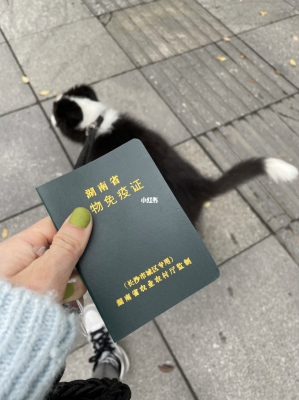 內(nèi)蒙古赤峰辦狗證電話號(hào)碼-第1張圖片