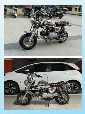 赤峰賣金城小猴子電話是多少號-第1張圖片