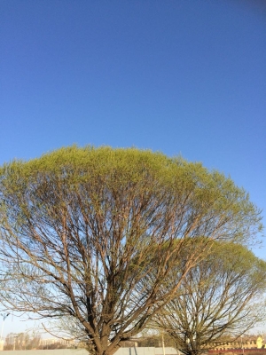 赤峰市雅萱按摩院電話號碼-第1張圖片