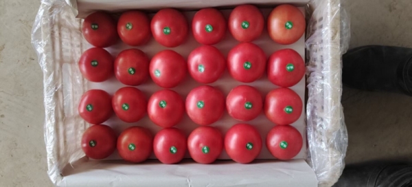 赤峰果蔬公司電話多少啊-第1張圖片