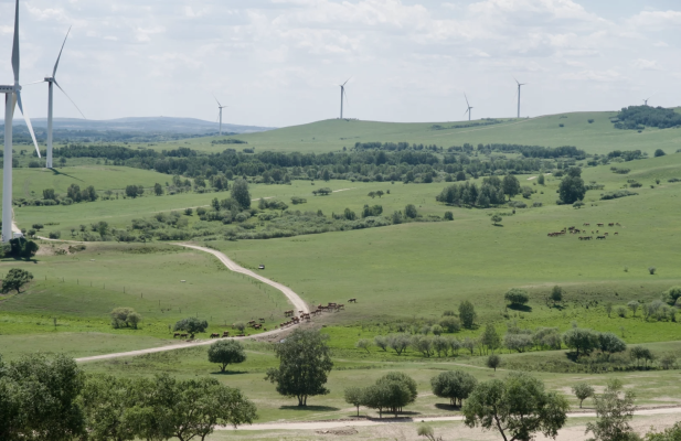 長(zhǎng)春到赤峰冷鏈物流電話號(hào)碼-第1張圖片